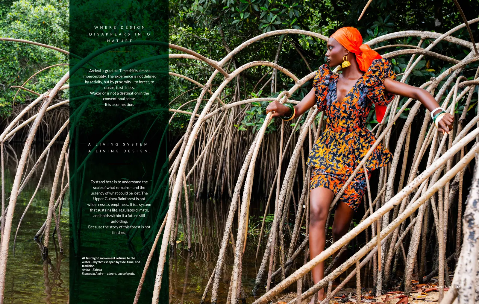 Close-up editorial photography from the magazine