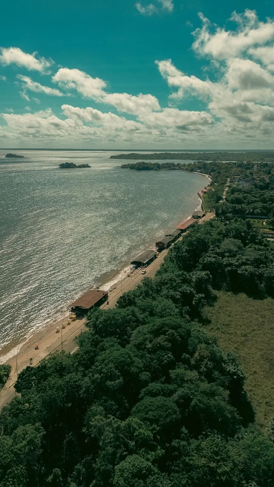Rainforest meeting the coast, Central Africa
