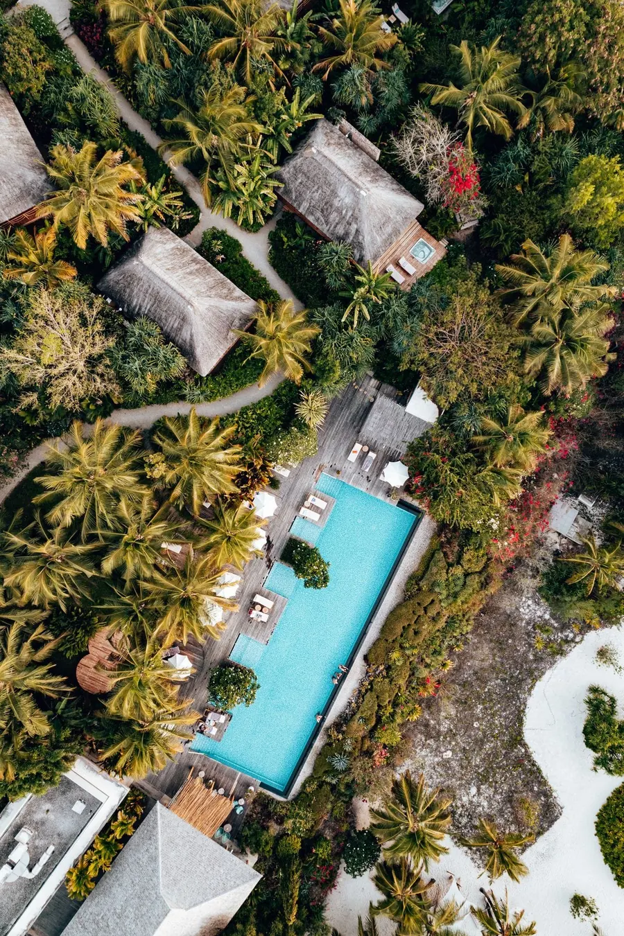 Aerial view of a lodge among palms, East Africa