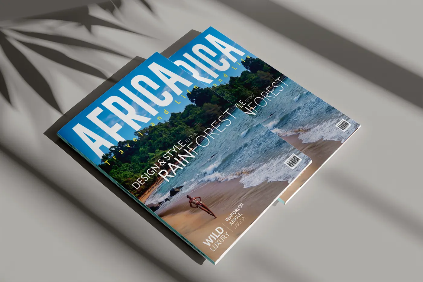 The Rainforest issue on a table in the sun