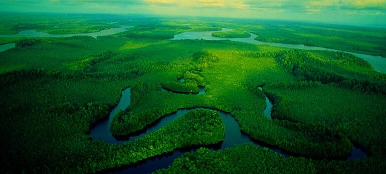 The Awe of the Congo Basin: A Journey Through Nature’s Heart
