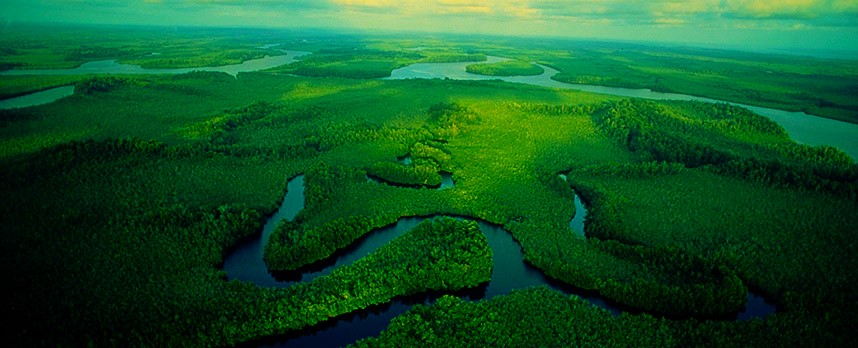 The Awe of the Congo Basin: A Journey Through Nature’s Heart