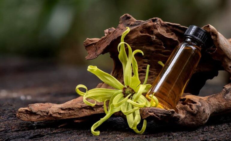 Comoros:  The Fragrant Island and Home of the World’s Most Luxurious Oil