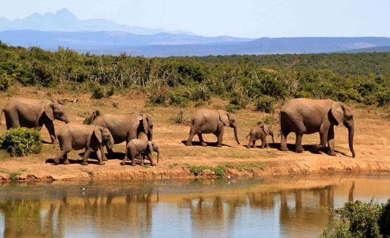 Explore the Hidden Gem of Africa: South Sudan’s Untouched Beauty