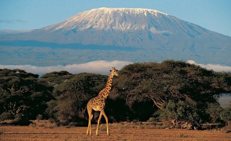 Unveiling the Luxuries and Wonders of Tanzania