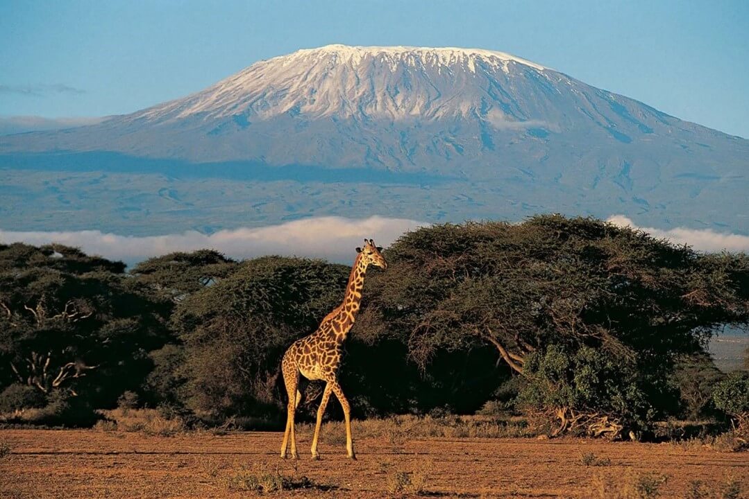 <a href="/category/destinations/travel-guides/country/tanzania/" target="_blank">Tanzania</a> 