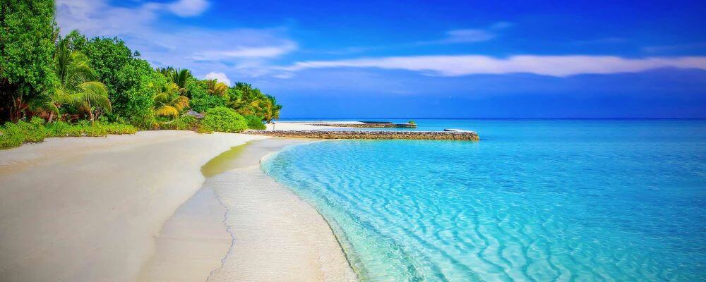 <a href="/category/destinations/travel-guides/country/comoros/" target="_blank">Comoros</a> 