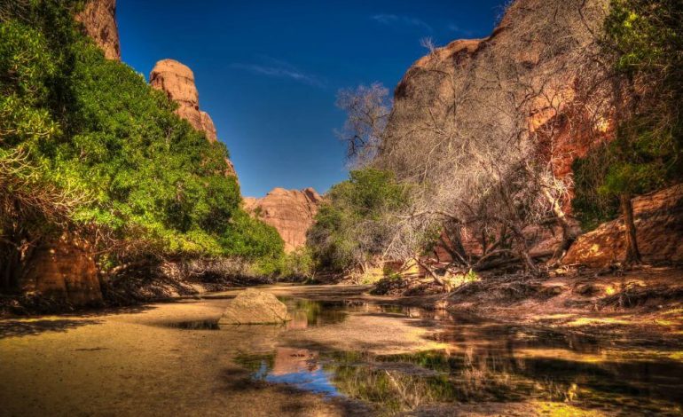 Unveiling the Hidden Gems of Chad: A Journey into Culture and Nature