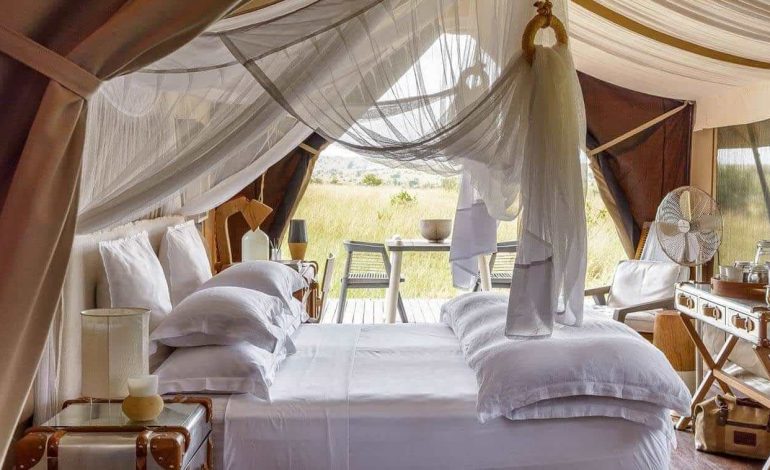 The Serengeti