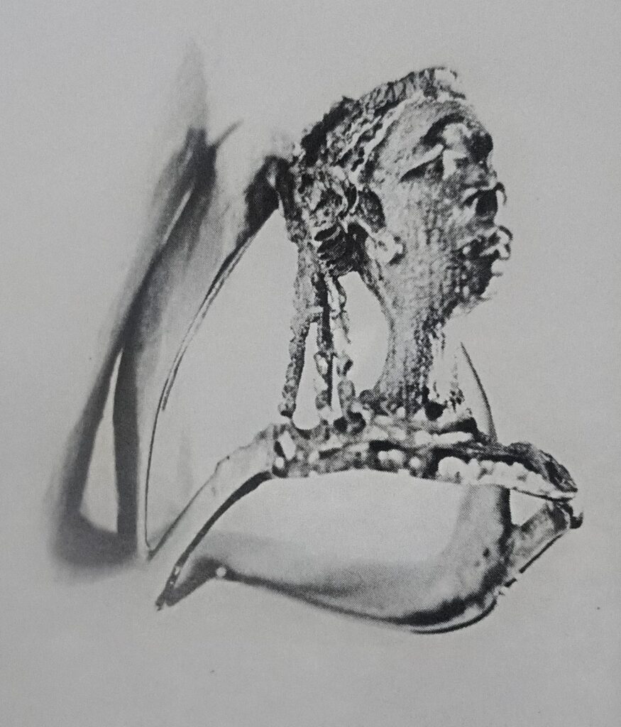 the V-Ring